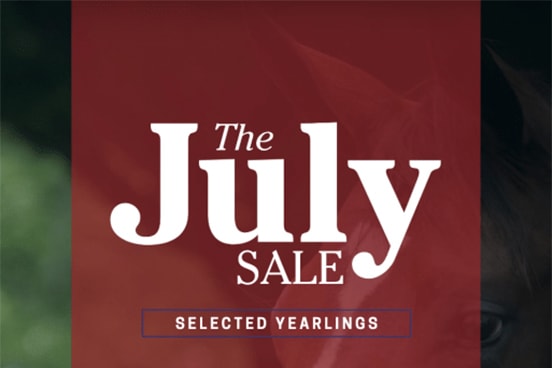 The July Sale | Resolvet by Hagyard