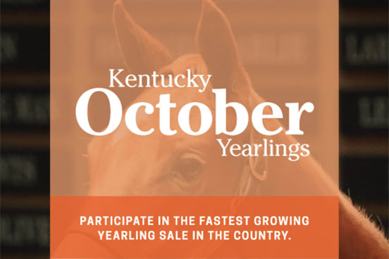 Kentucky October Yearlings | Resolvet by Hagyard