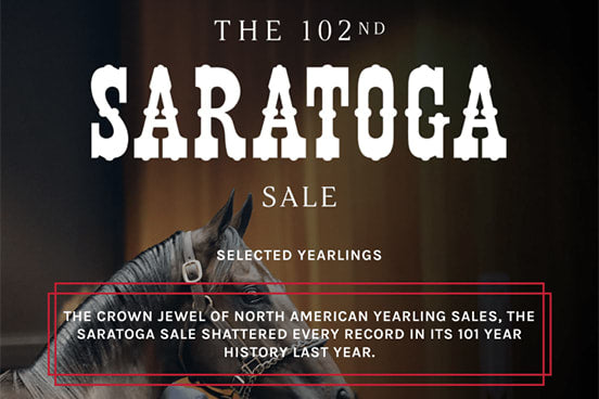 The Saratoga Sale | Resolvet by Hagyard