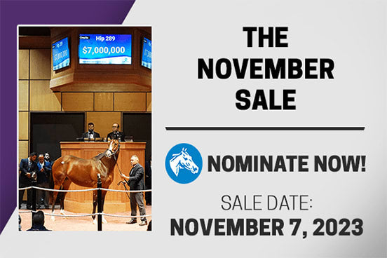 The November Sale | Resolvet by Hagyard
