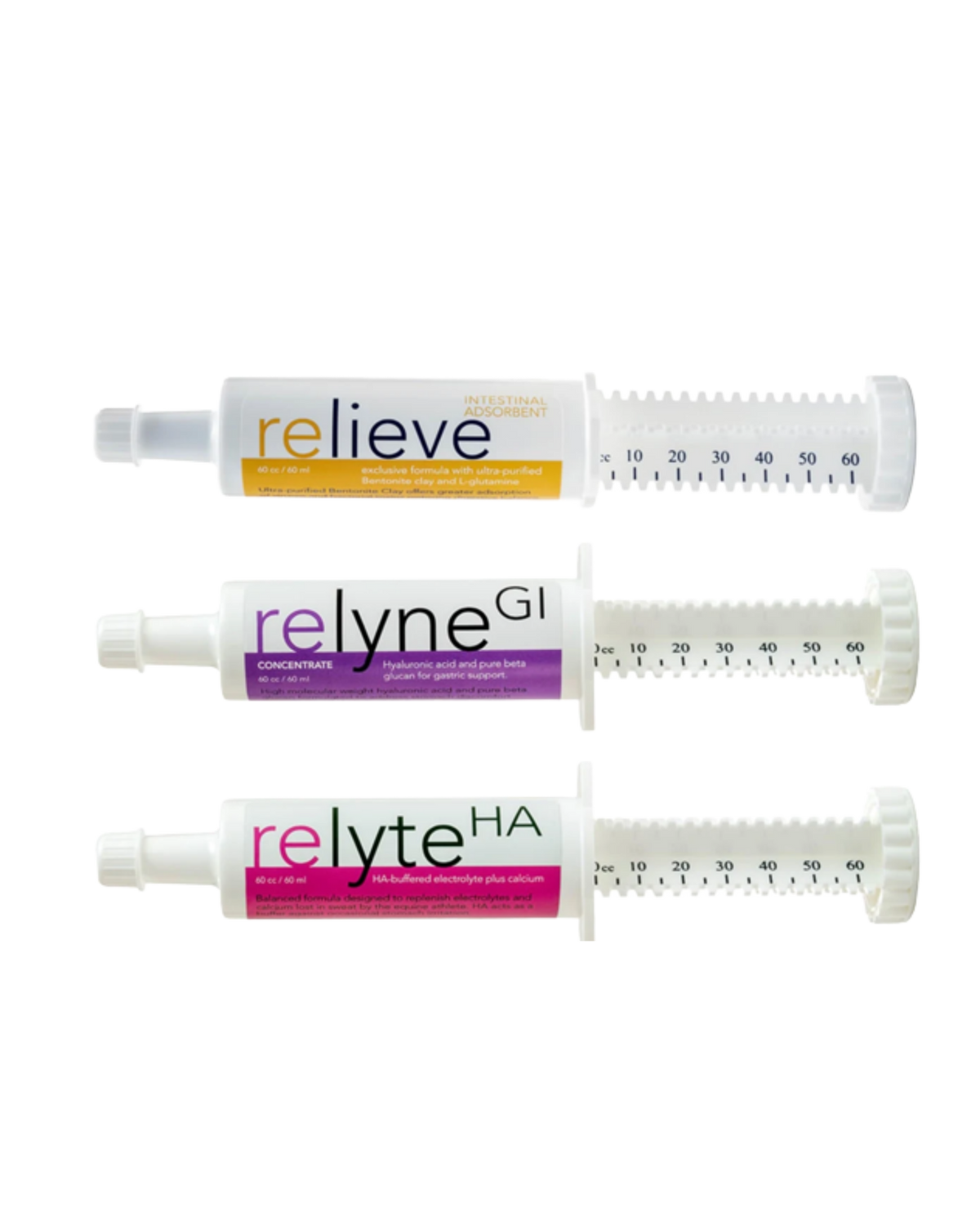Travel Necessity Bundle